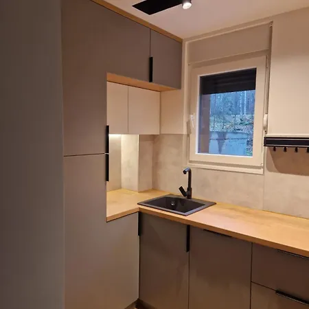 Mountain Dreams Apartament Divčibare